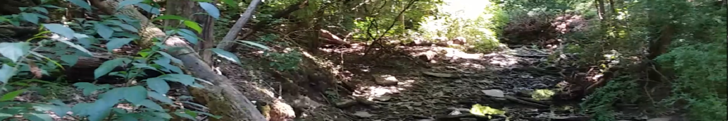 The Glen Header 2000 X 333 1024x171